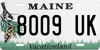 ME license plate 8009UK
