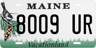 ME license plate 8009UR