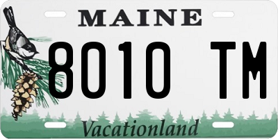 ME license plate 8010TM