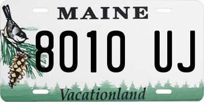 ME license plate 8010UJ