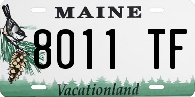ME license plate 8011TF