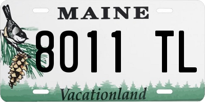 ME license plate 8011TL