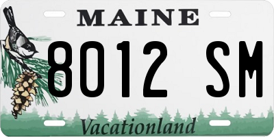 ME license plate 8012SM