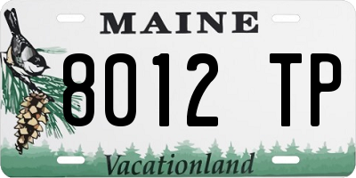 ME license plate 8012TP
