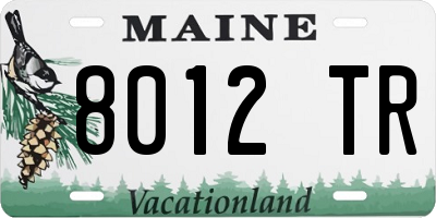ME license plate 8012TR
