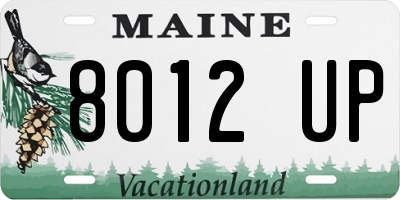 ME license plate 8012UP
