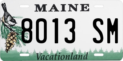 ME license plate 8013SM