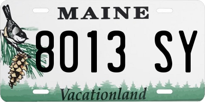 ME license plate 8013SY