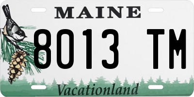 ME license plate 8013TM