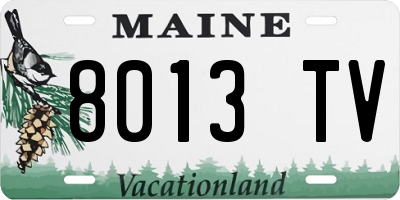 ME license plate 8013TV