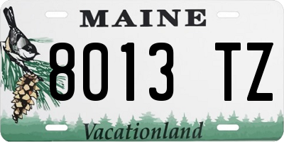 ME license plate 8013TZ