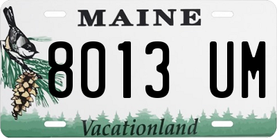 ME license plate 8013UM