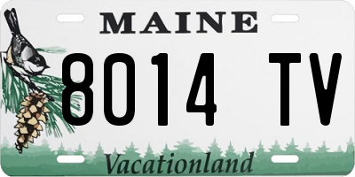ME license plate 8014TV