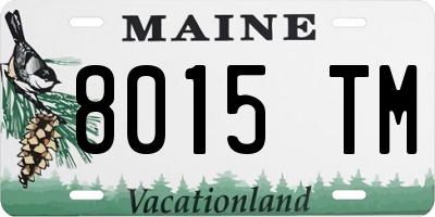 ME license plate 8015TM