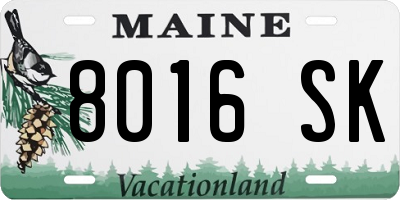 ME license plate 8016SK