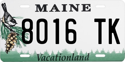 ME license plate 8016TK