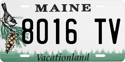 ME license plate 8016TV