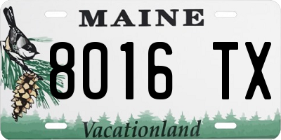 ME license plate 8016TX