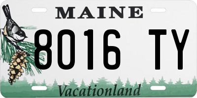 ME license plate 8016TY