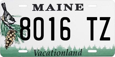 ME license plate 8016TZ