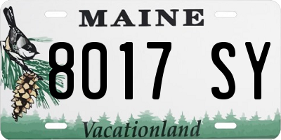 ME license plate 8017SY