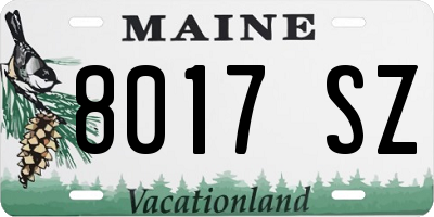 ME license plate 8017SZ