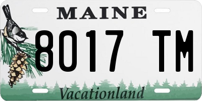 ME license plate 8017TM