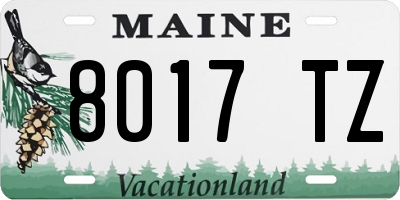 ME license plate 8017TZ