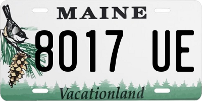ME license plate 8017UE