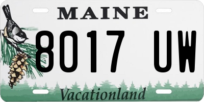 ME license plate 8017UW