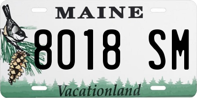 ME license plate 8018SM