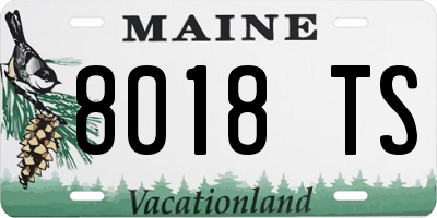 ME license plate 8018TS