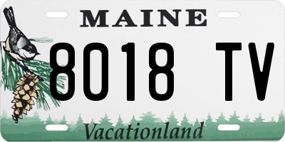 ME license plate 8018TV