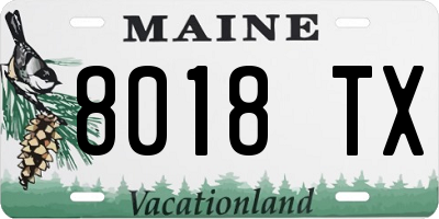 ME license plate 8018TX
