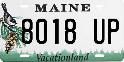 ME license plate 8018UP
