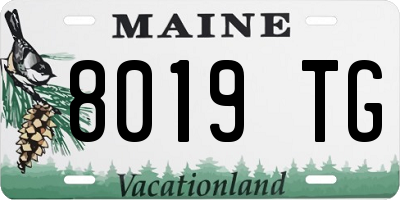 ME license plate 8019TG
