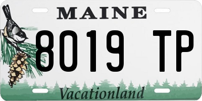 ME license plate 8019TP