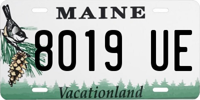 ME license plate 8019UE