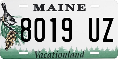 ME license plate 8019UZ