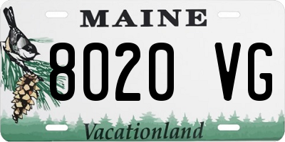 ME license plate 8020VG