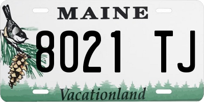 ME license plate 8021TJ