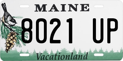 ME license plate 8021UP