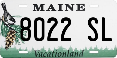 ME license plate 8022SL