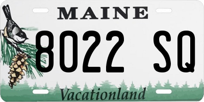 ME license plate 8022SQ