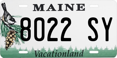 ME license plate 8022SY