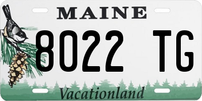 ME license plate 8022TG