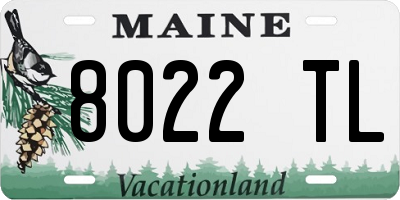 ME license plate 8022TL