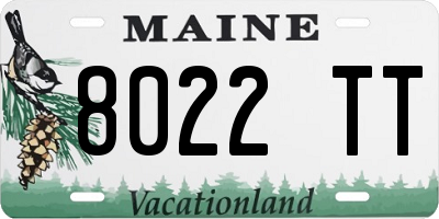 ME license plate 8022TT