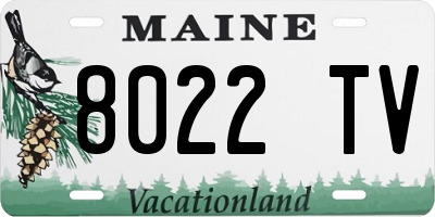 ME license plate 8022TV