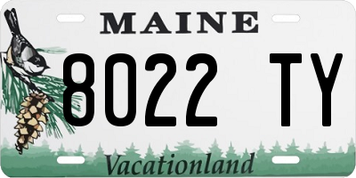 ME license plate 8022TY